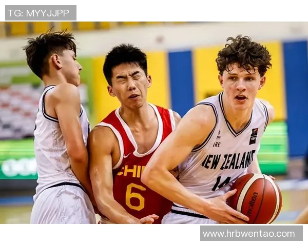 五年对比：篮球八卦数据全面进化！